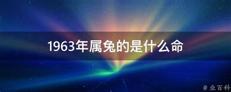 1963年是什么年|1963年大事件